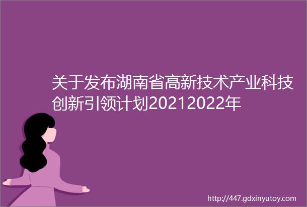 关于发布湖南省高新技术产业科技创新引领计划20212022年项目申报指南的通知